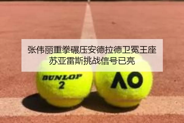 zhang-wei-li-zhong-quan-nian-ya-an-de-la-de-wei-mian-wang-zuo-su-ya-lei-si-tiao-zhan-xin-hao-yi-liang-2-515.jpg